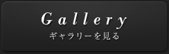 ギャラリーを見る