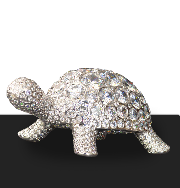 Brilliant Tortoise