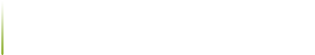 Brilliant Tortoise ハンドメイドが生み出した至高のフォルム